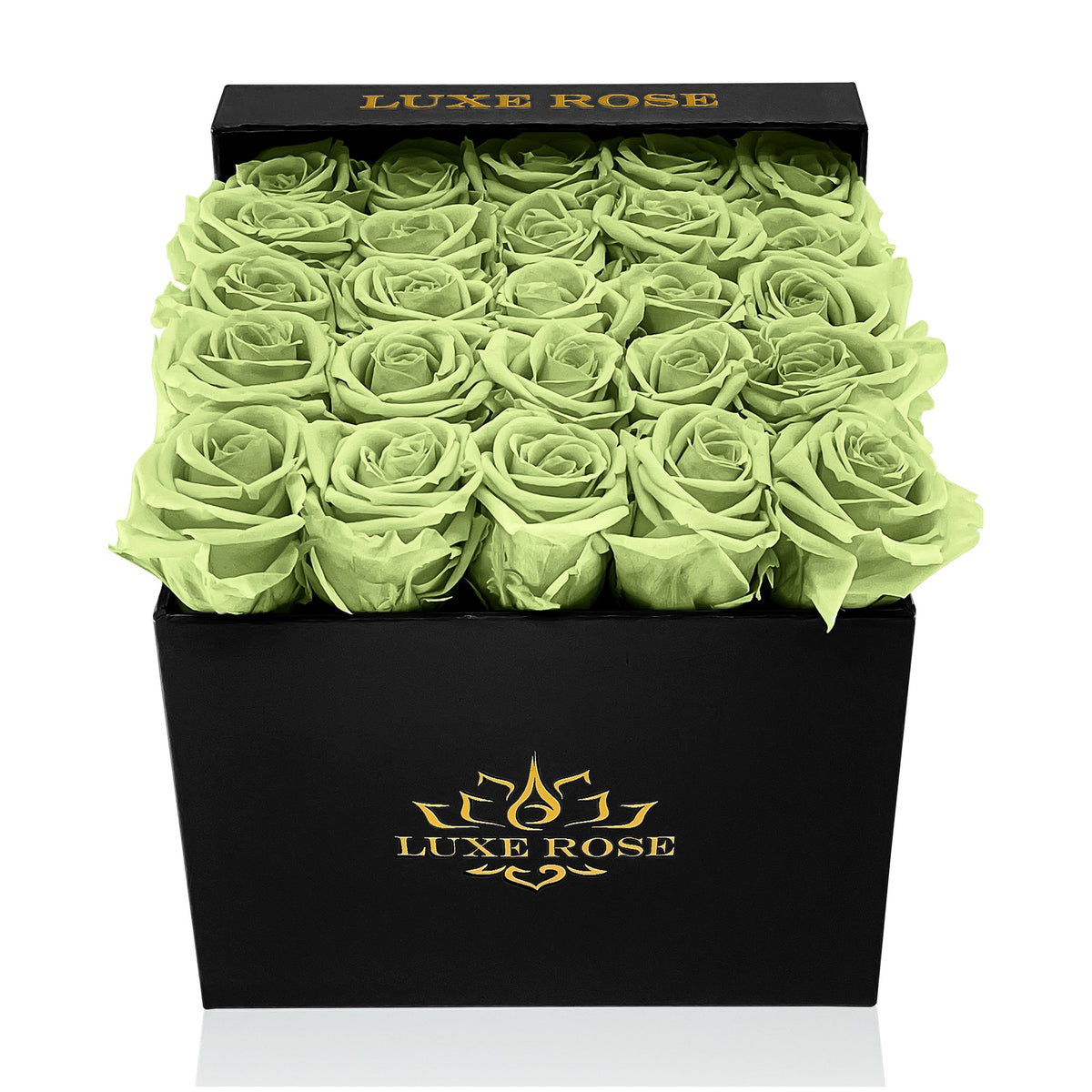 Preserved Roses Small Box | Green - Black - Roses