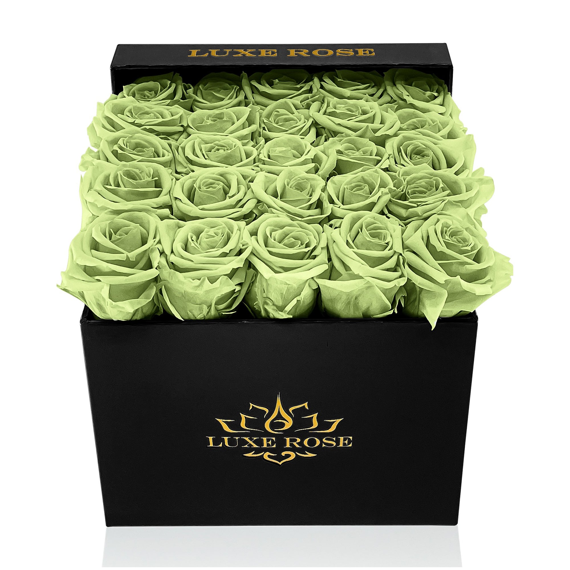 Preserved Roses Small Box | Green - White - Roses