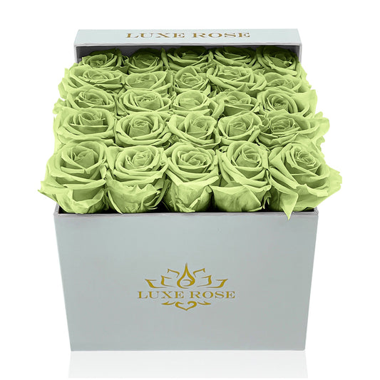 Preserved Roses Small Box | Green - White - Roses