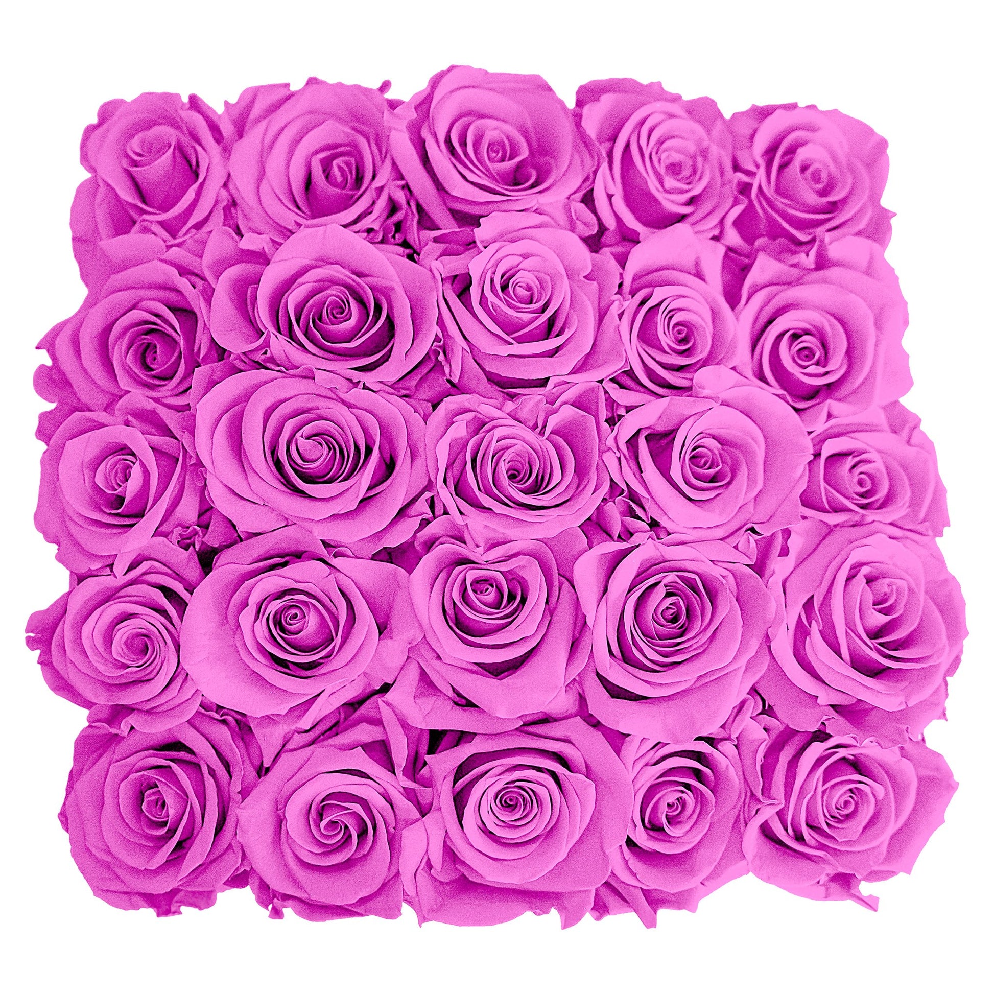 Preserved Roses Small Box | Hot Pink - Roses