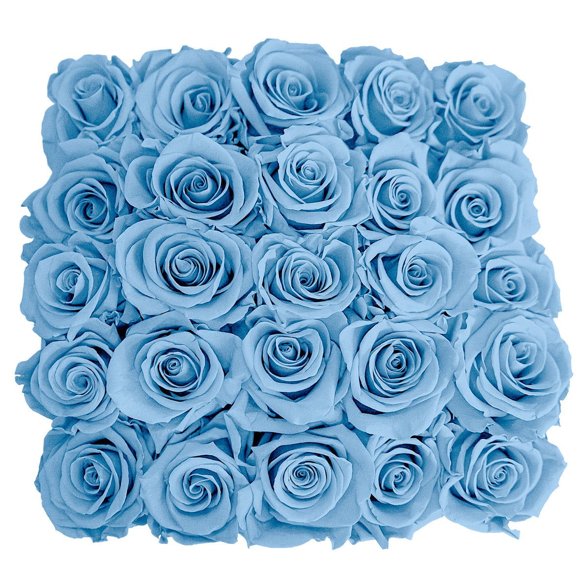 Preserved Roses Small Box | Light Blue - Roses
