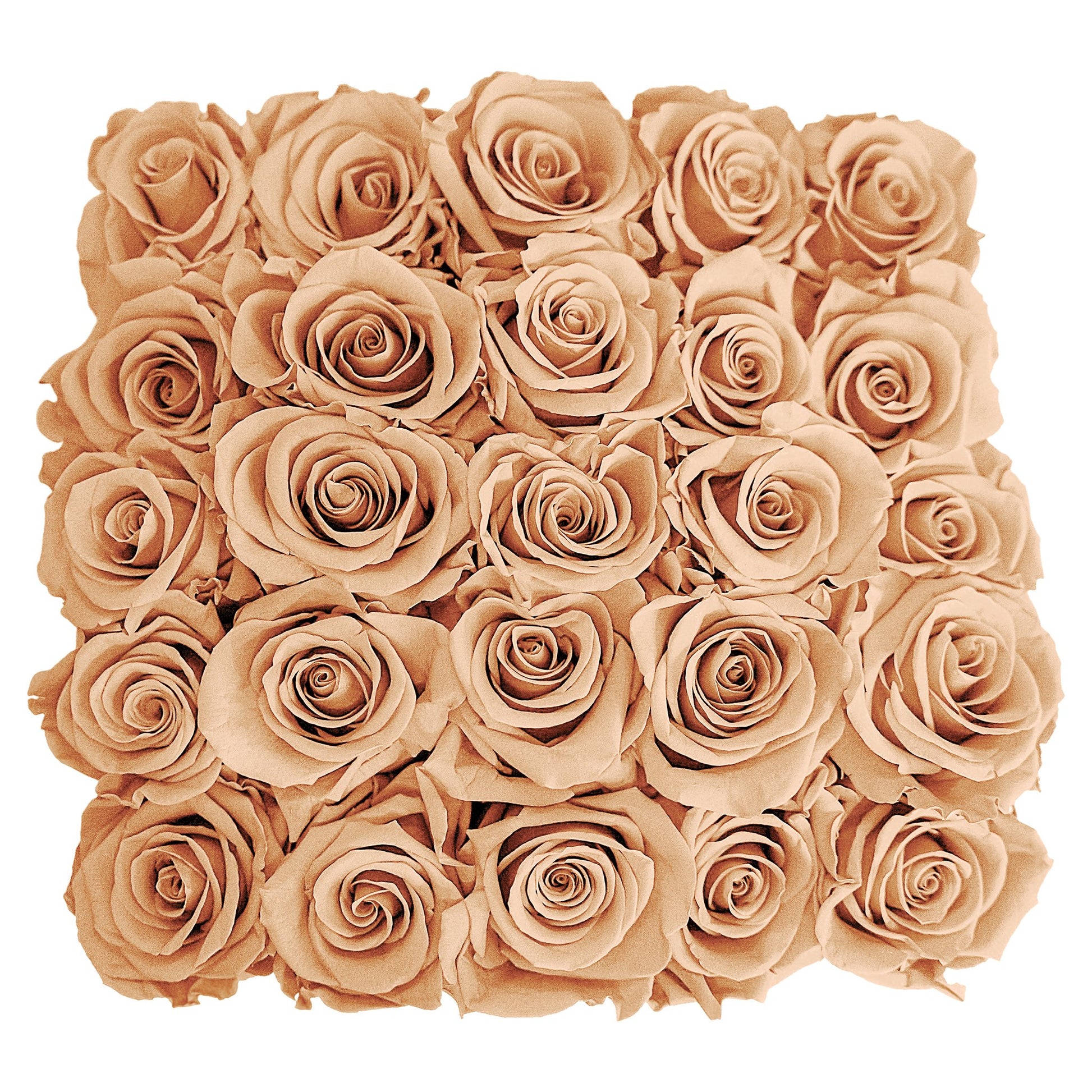 Preserved Roses Small Box | Peach - Roses