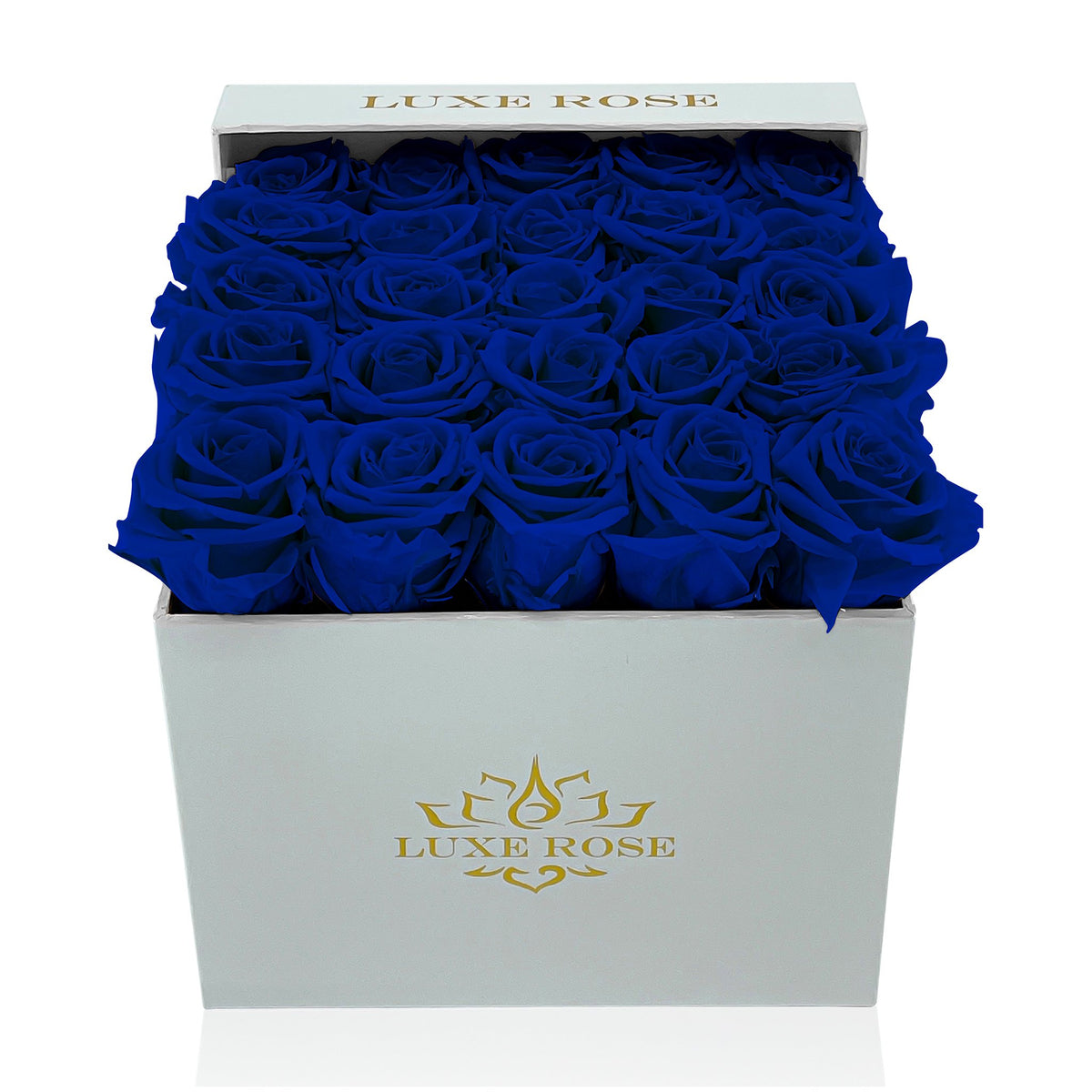 Preserved Roses Small Box | Royal Blue - White - Roses